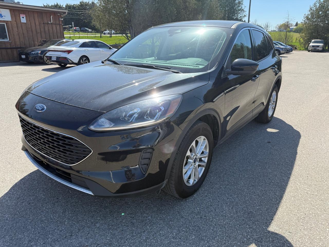 Used 2021 Ford Escape SE for sale in Waterloo, ON