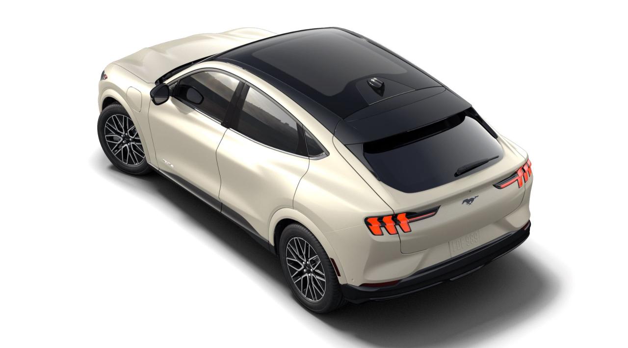 2025 Ford Mustang Mach-E Premium Photo1