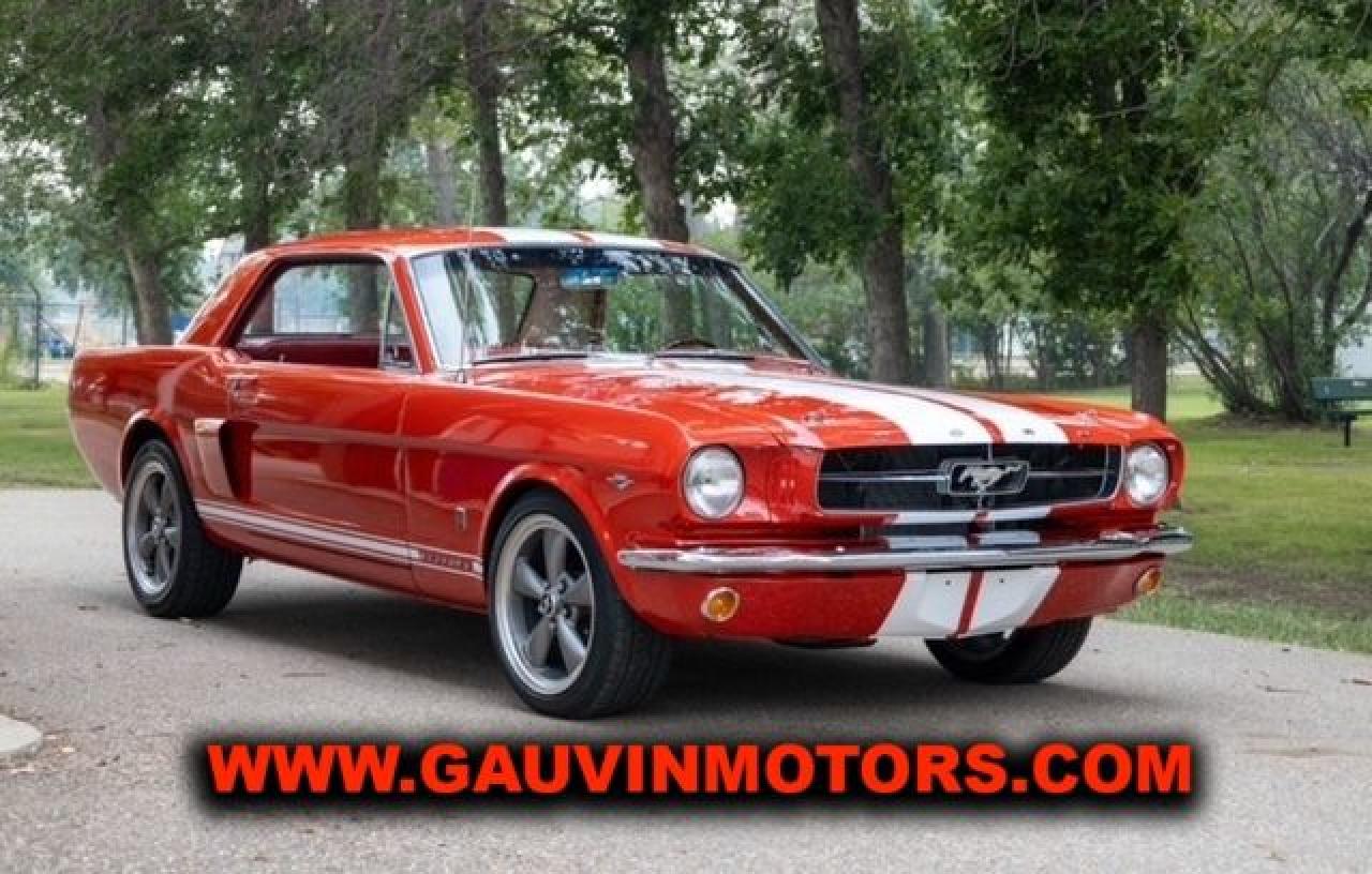 Used 1965 Ford Mustang GT Tribute, Gorgeous Car for sale in Swift Current, SK