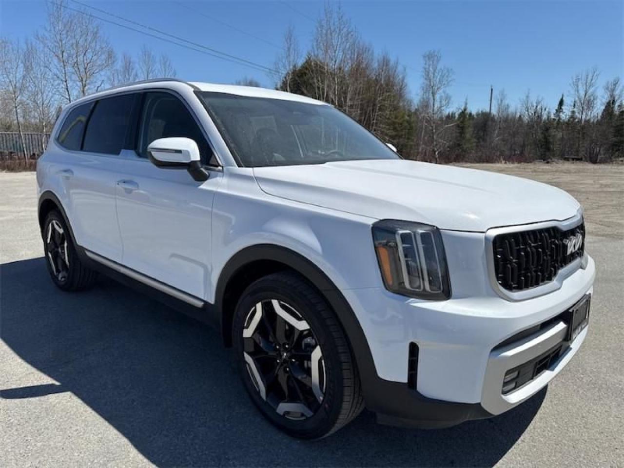 New 2025 Kia Telluride EX  Sunroof for sale in Timmins, ON