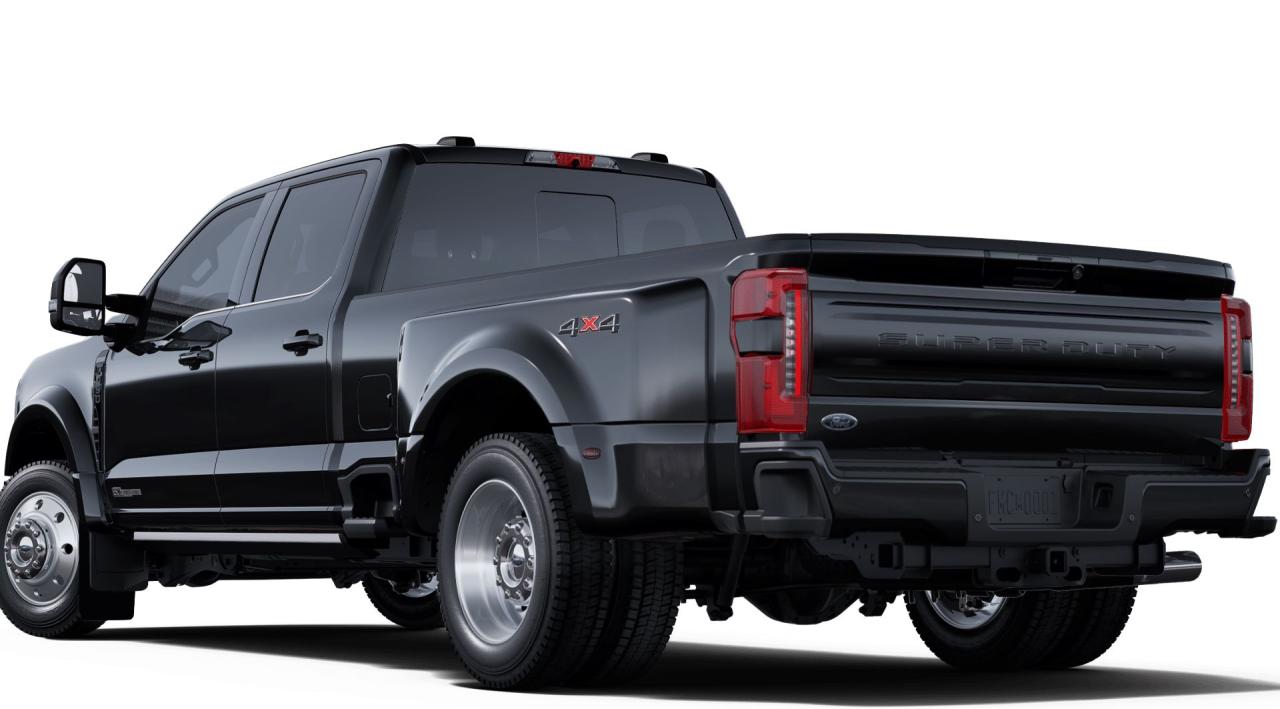 2025 Ford F-450 Super Duty DRW Platinum Photo1
