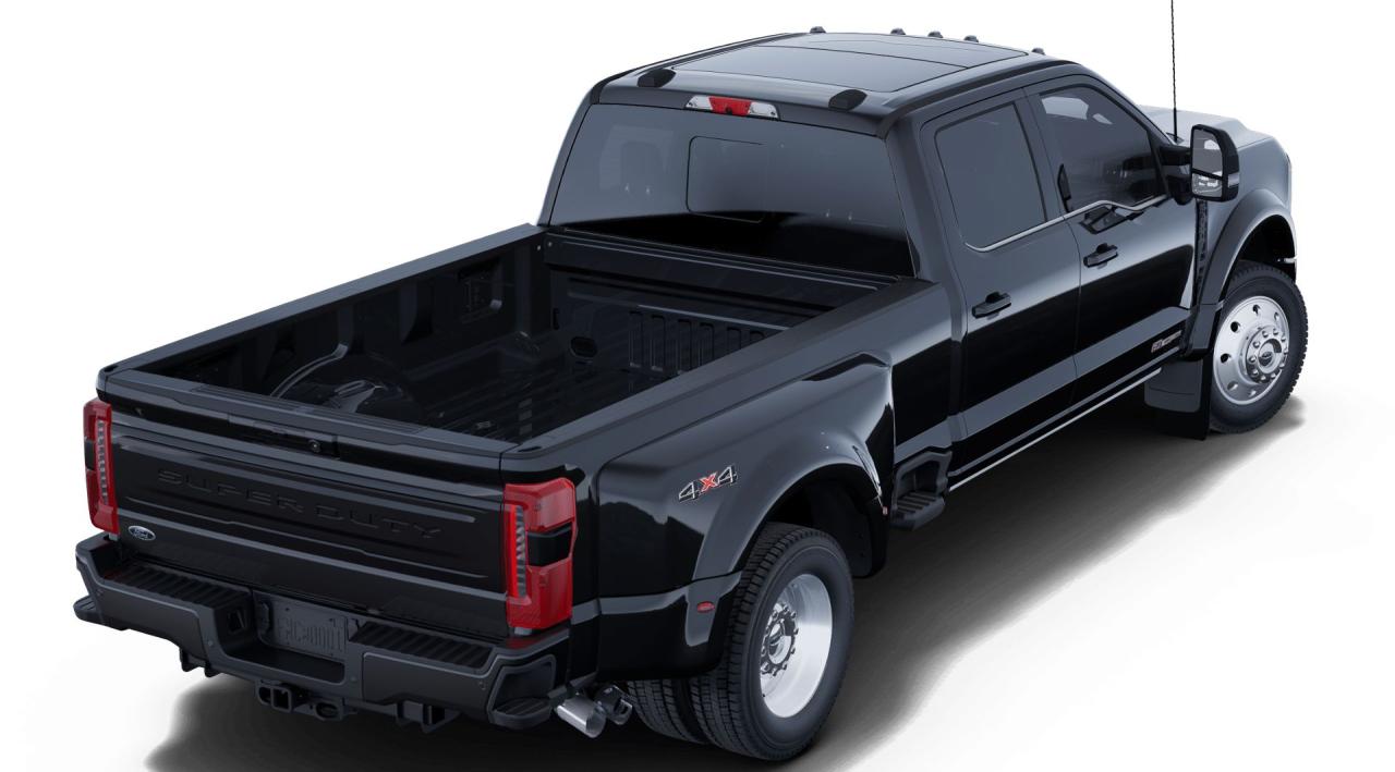 2025 Ford F-450 Super Duty DRW Platinum Photo2
