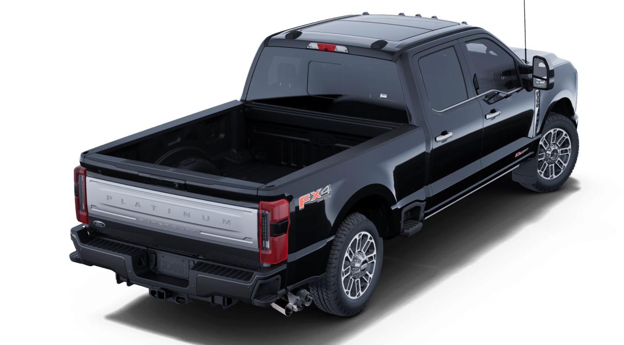 2025 Ford F-350 Super Duty SRW PLATINUM Photo