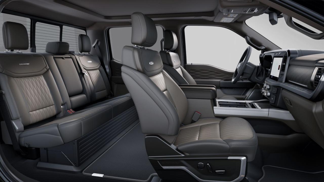 2025 Ford F-350 Super Duty SRW PLATINUM Photo5