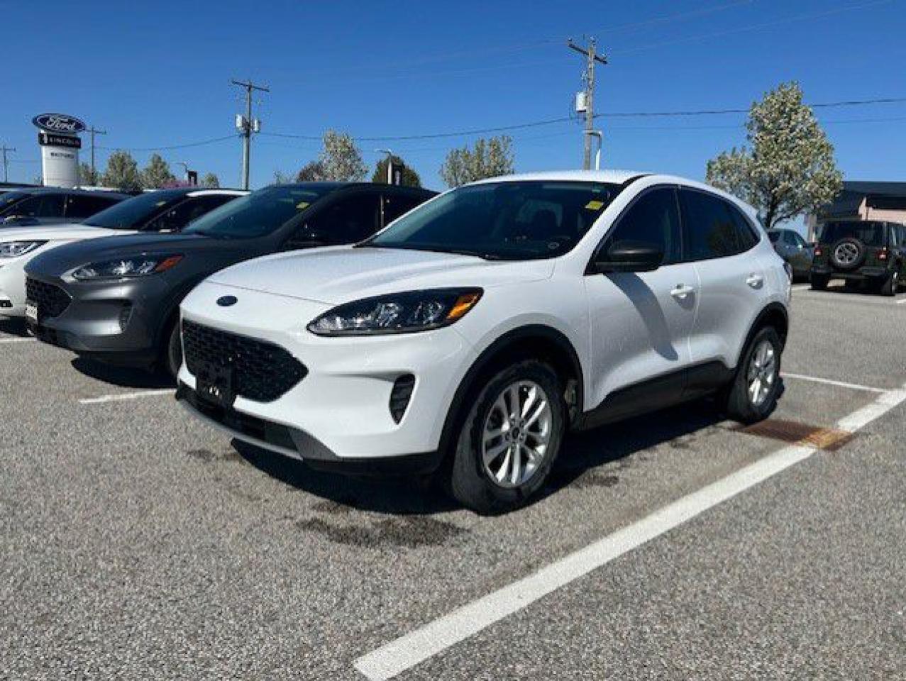 Used 2022 Ford Escape SE AWD for sale in Watford, ON
