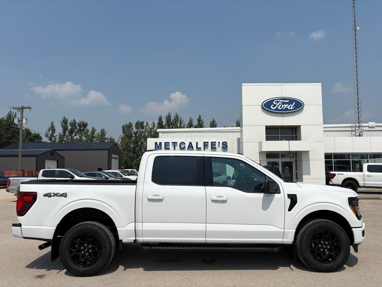 New 2025 Ford F-150 XLT 4WD SuperCrew 5.5' Box for sale in Treherne, MB