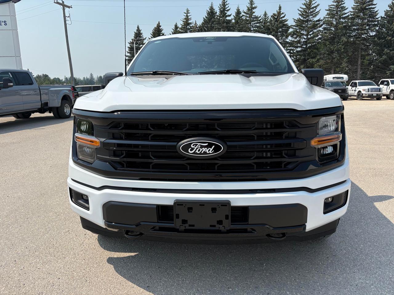 2025 Ford F-150 XLT 4WD SuperCrew 5.5' Box Photo2