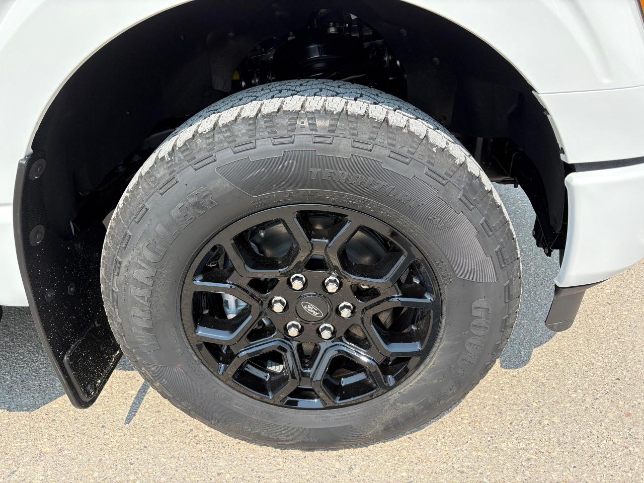 2025 Ford F-150 XLT 4WD SuperCrew 5.5' Box Photo5