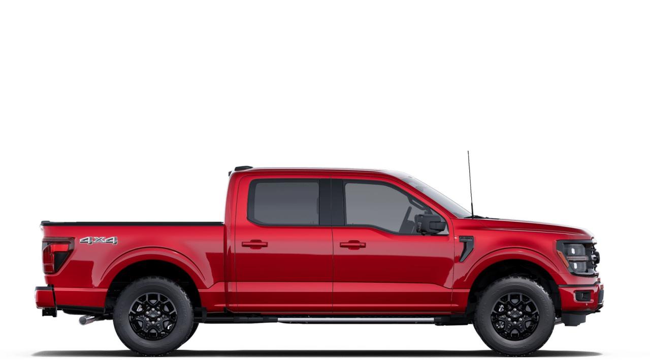 2025 Ford F-150 XLT 4WD SuperCrew 5.5' Box Photo5