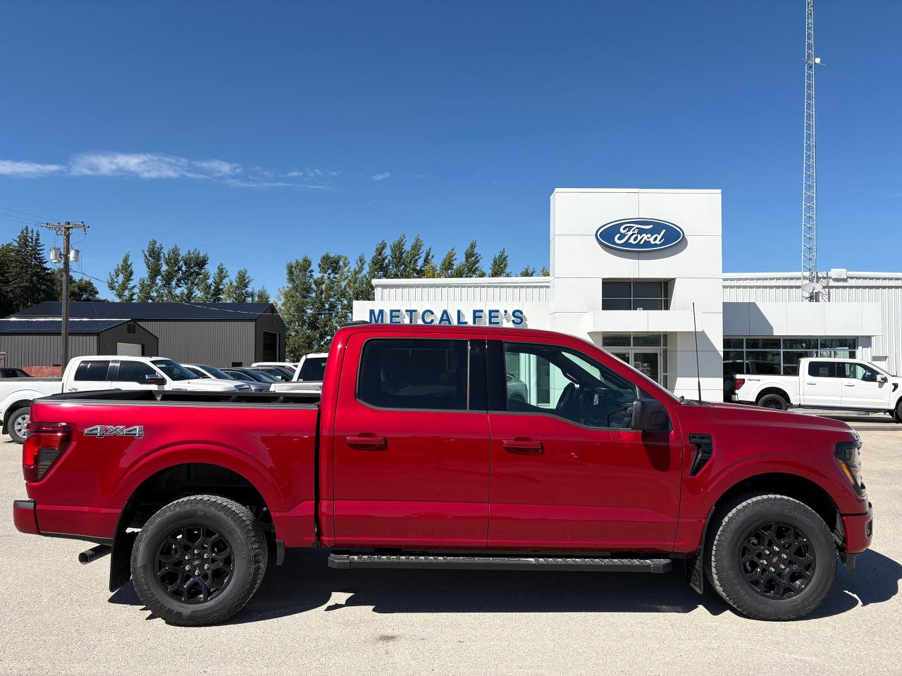 New 2025 Ford F-150 XLT 4WD SuperCrew 5.5' Box for sale in Treherne, MB