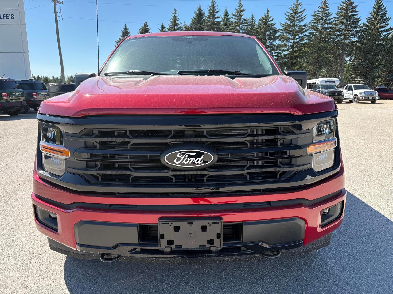2025 Ford F-150 XLT 4WD SuperCrew 5.5' Box Photo2