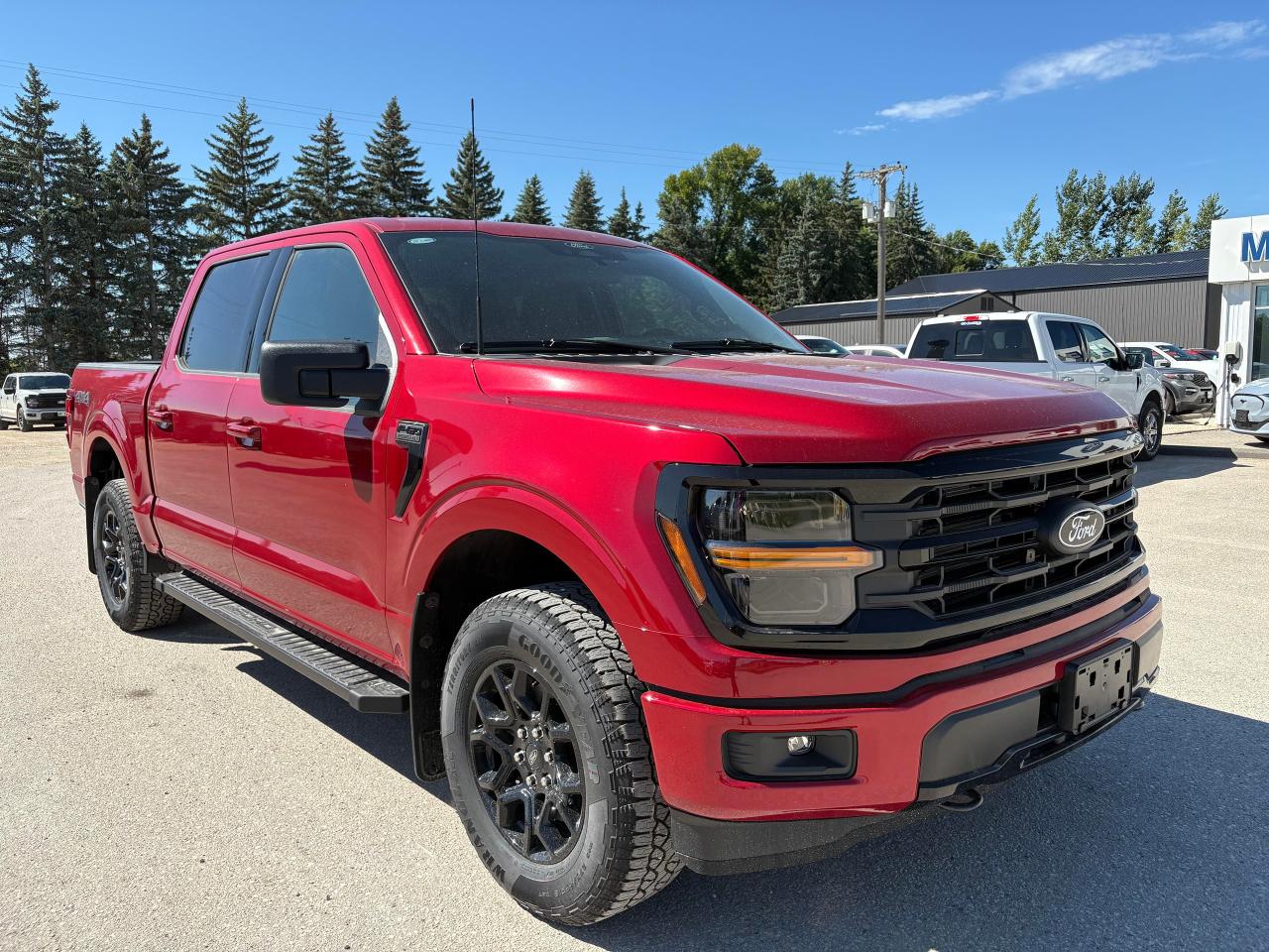 2025 Ford F-150 XLT 4WD SuperCrew 5.5' Box Photo3