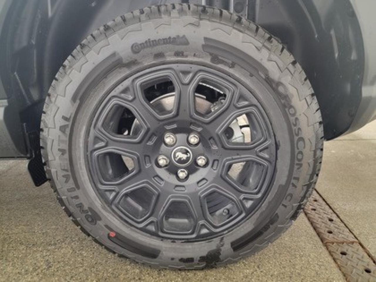 12513142