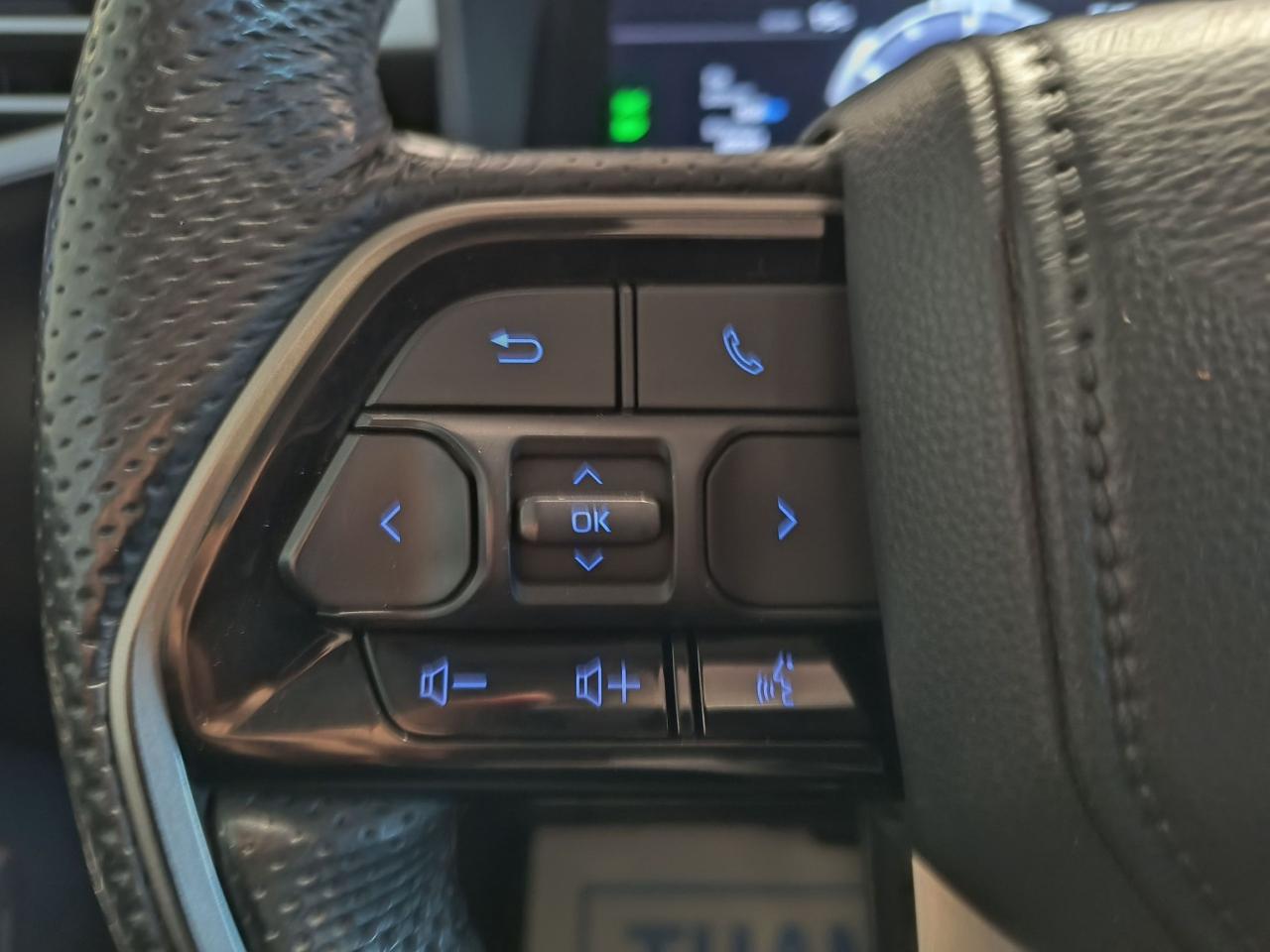 2024 Toyota Tundra Limited  4x4 Photo