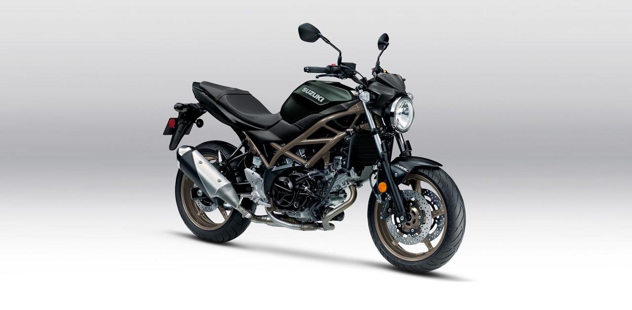 2025 Suzuki SV650 ABS - Photo #1