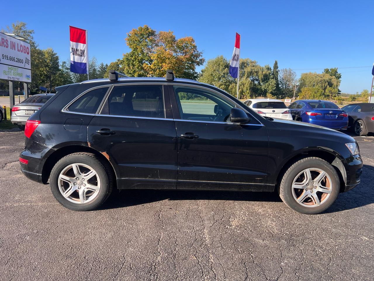 2010 Audi Q5 quattro 3.2L Photo15