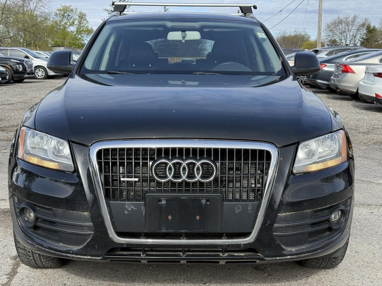 2010 Audi Q5 quattro 3.2L Photo