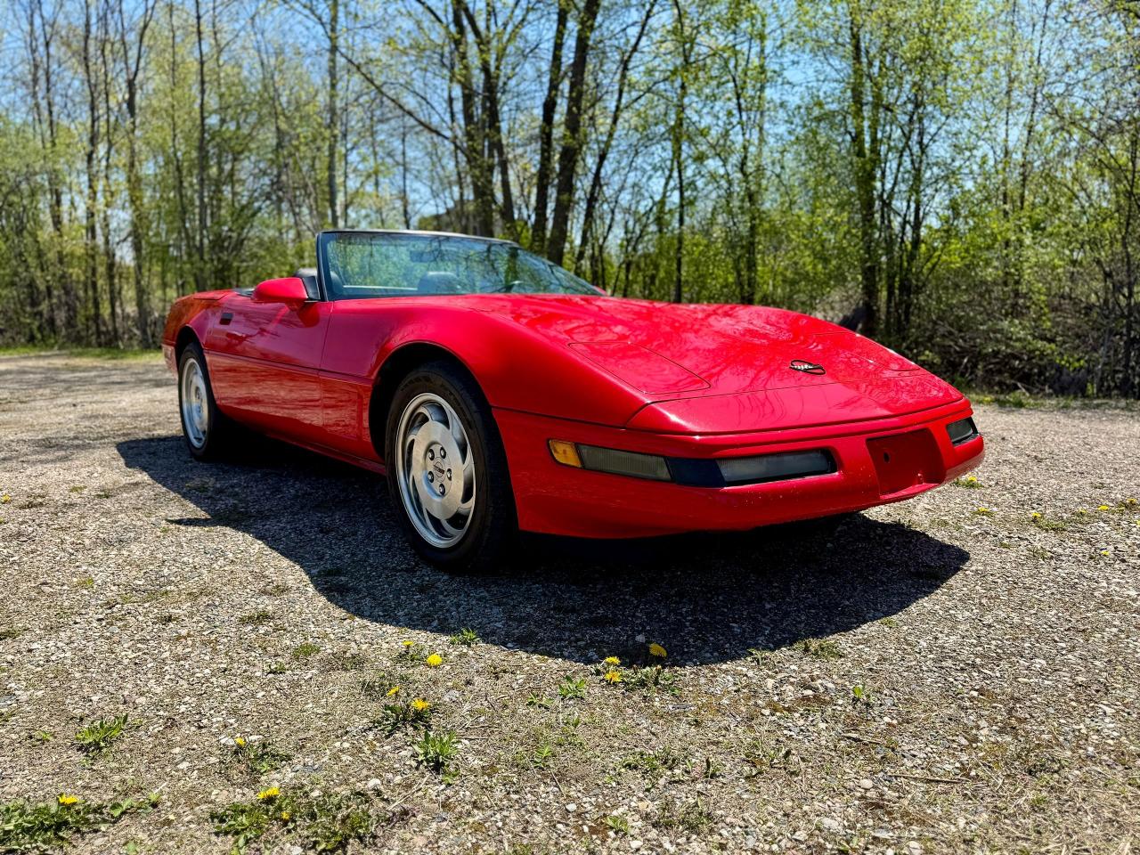 1995 Chevrolet Corvette Convertible - Photo #2