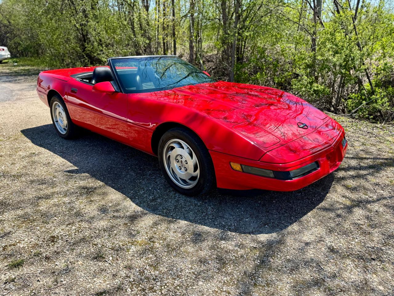 1995 Chevrolet Corvette Convertible - Photo #3