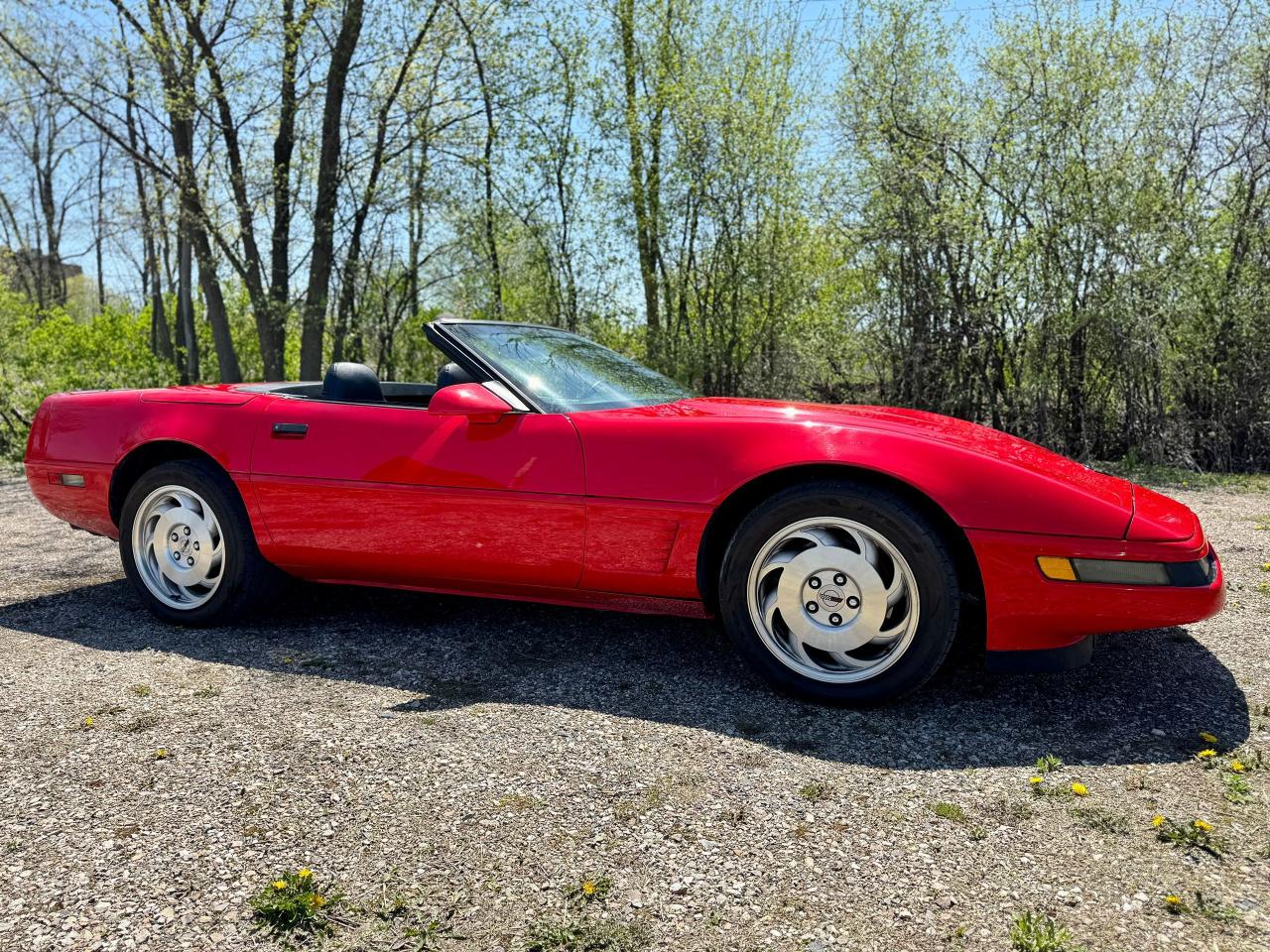 1995 Chevrolet Corvette Convertible - Photo #4