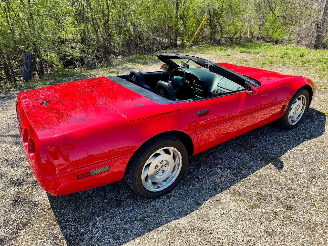 1995 Chevrolet Corvette Convertible - Photo #5