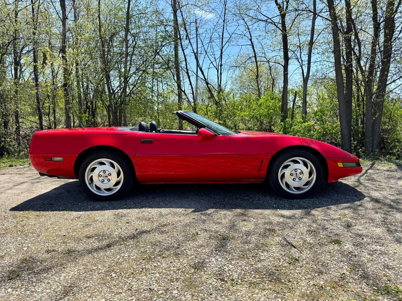 1995 Chevrolet Corvette Convertible - Photo #6
