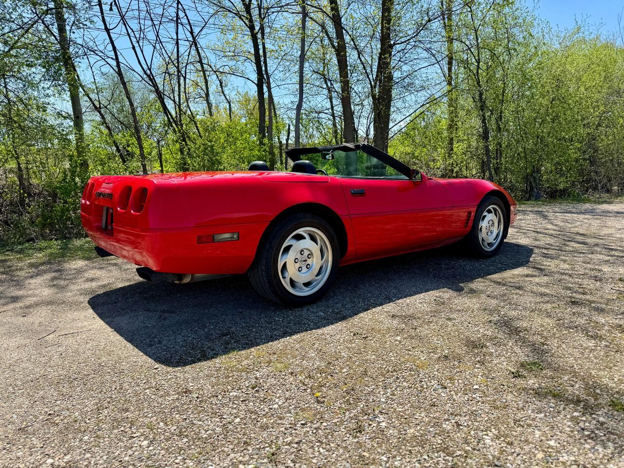 1995 Chevrolet Corvette Convertible - Photo #7