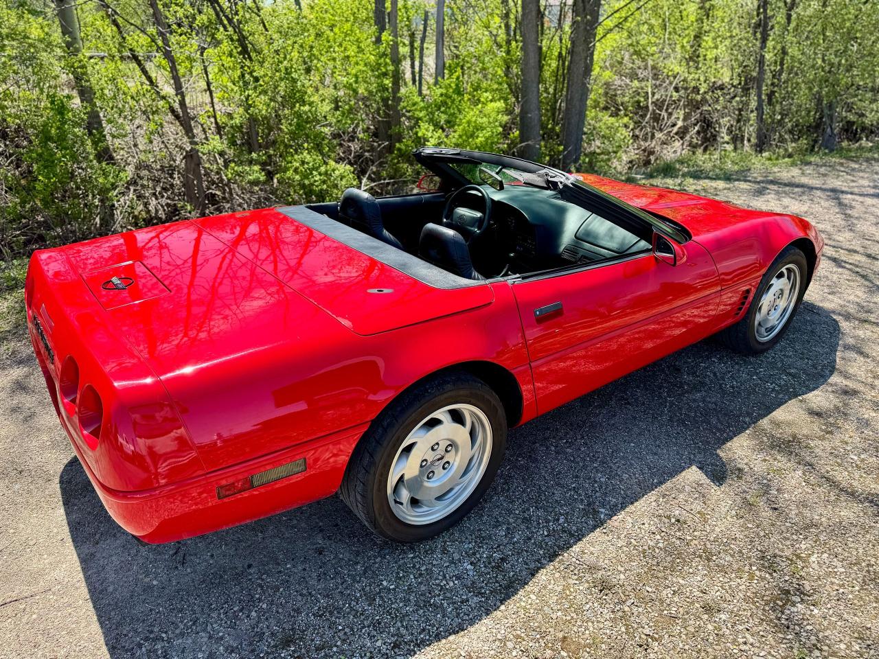 1995 Chevrolet Corvette Convertible - Photo #8