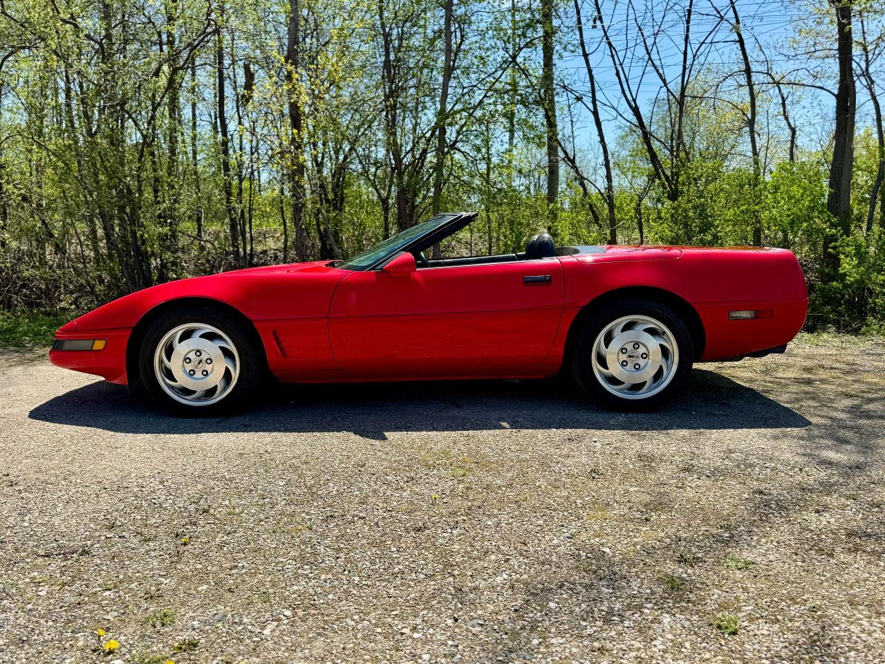 1995 Chevrolet Corvette Convertible - Photo #12