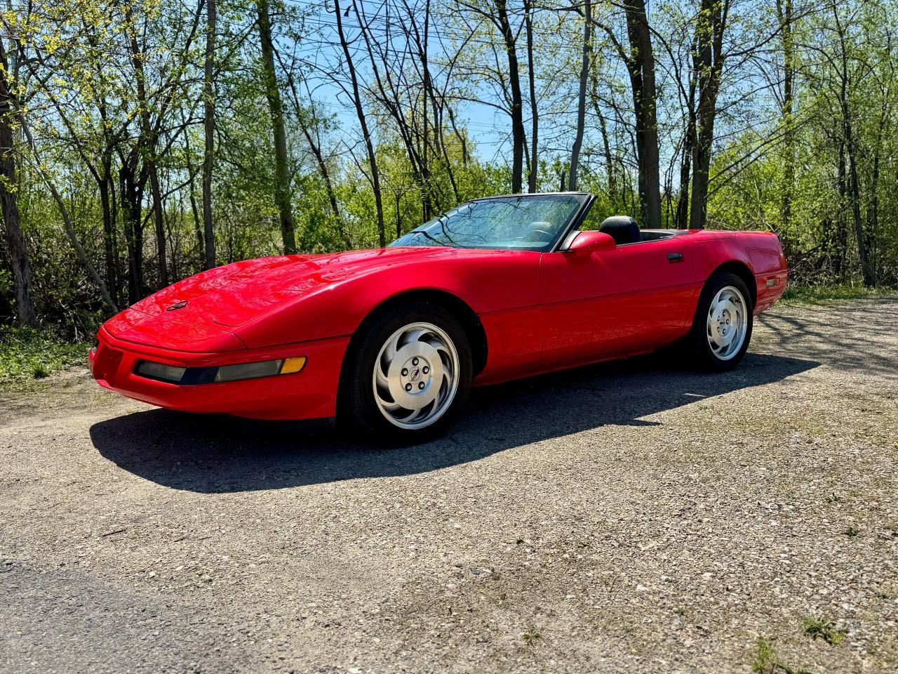 1995 Chevrolet Corvette Convertible - Photo #13