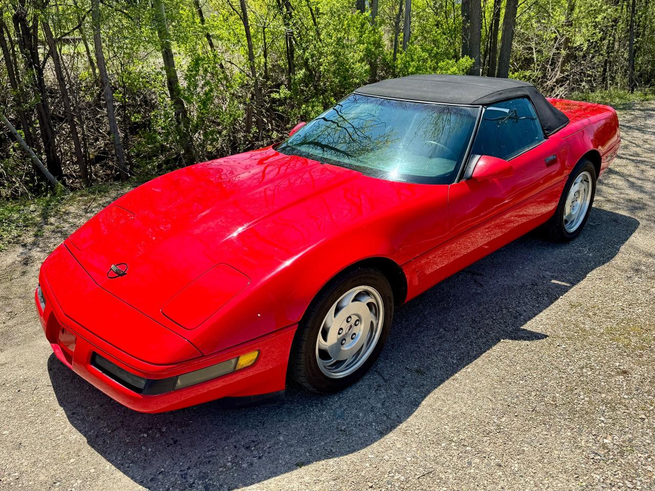 1995 Chevrolet Corvette Convertible - Photo #14