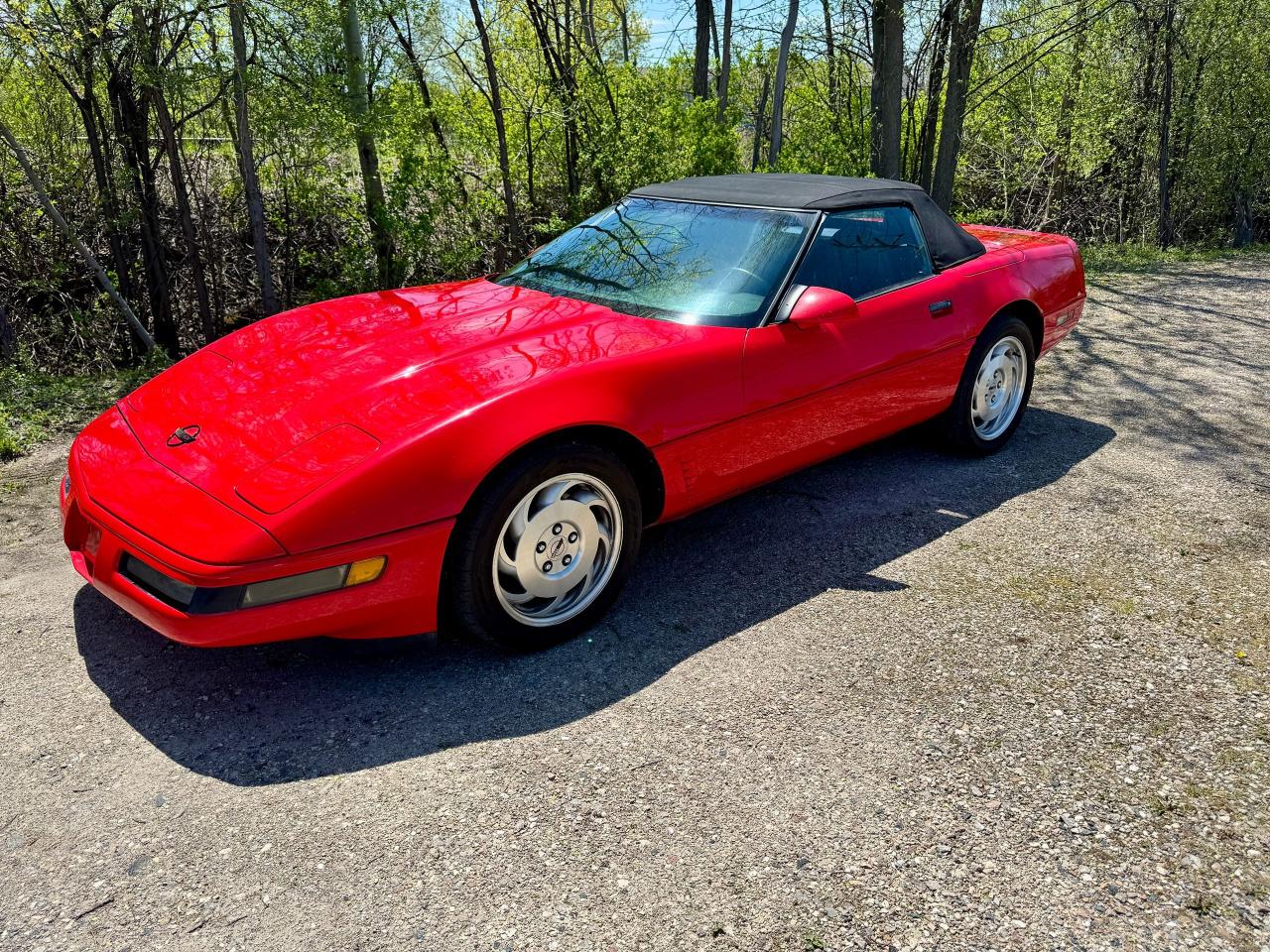 1995 Chevrolet Corvette Convertible - Photo #15