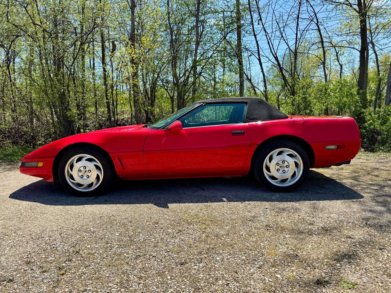1995 Chevrolet Corvette Convertible - Photo #16