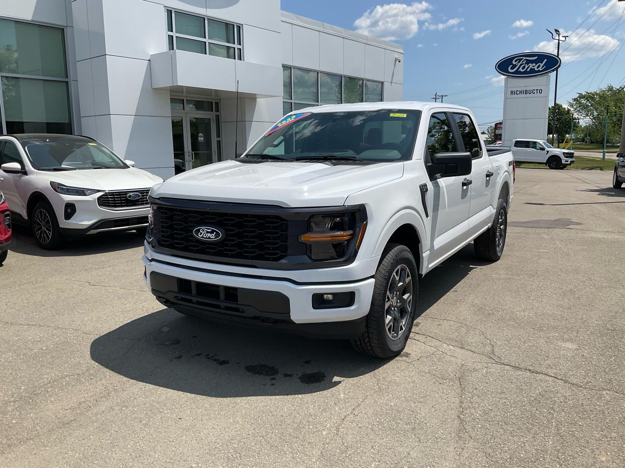 2025 Ford F-150 STX Photo0