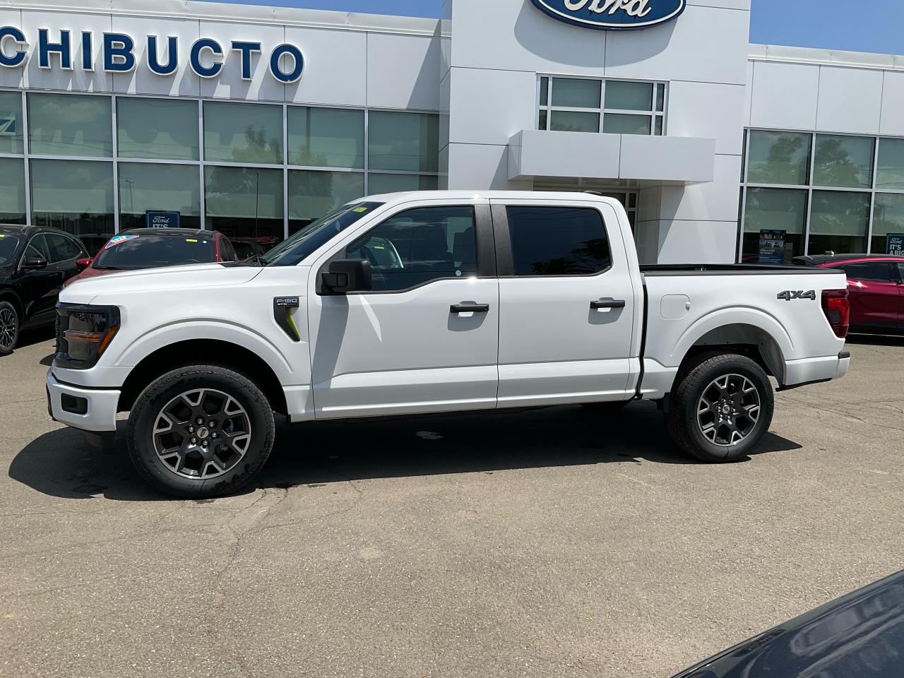 2025 Ford F-150 STX Photo5