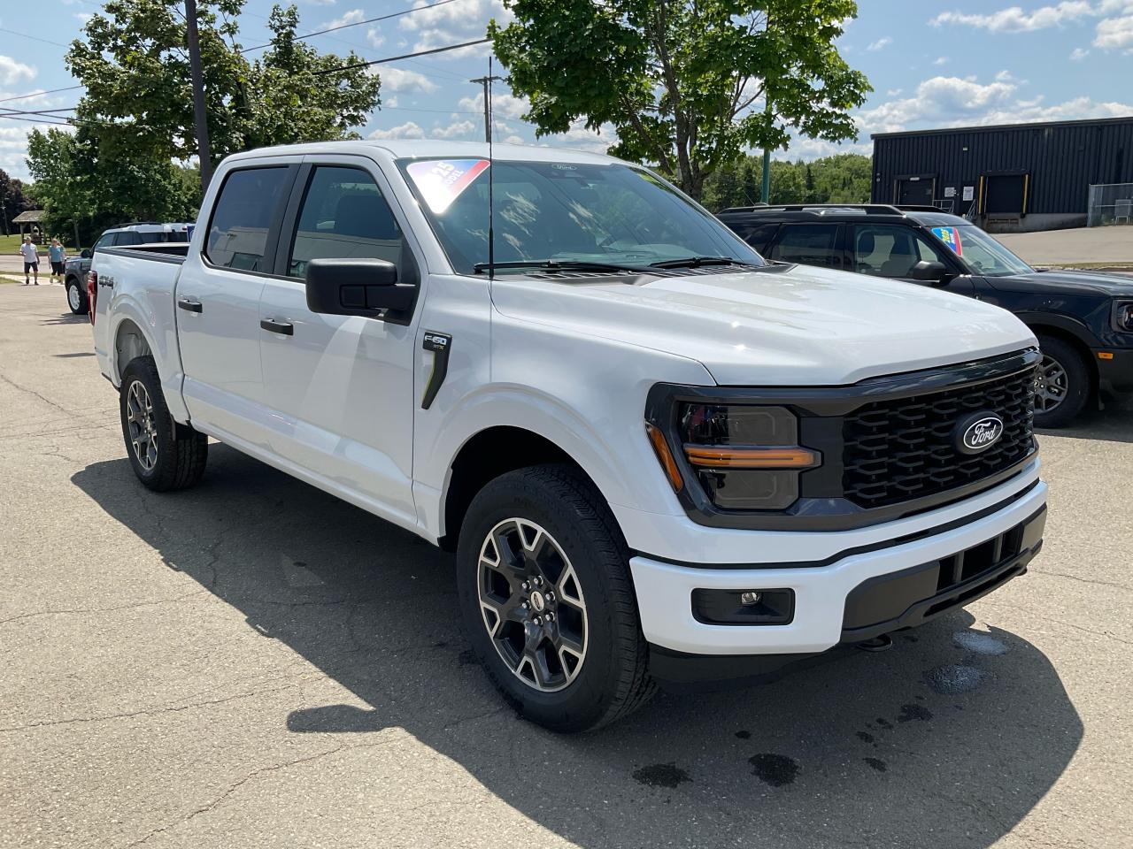 2025 Ford F-150 STX Photo5
