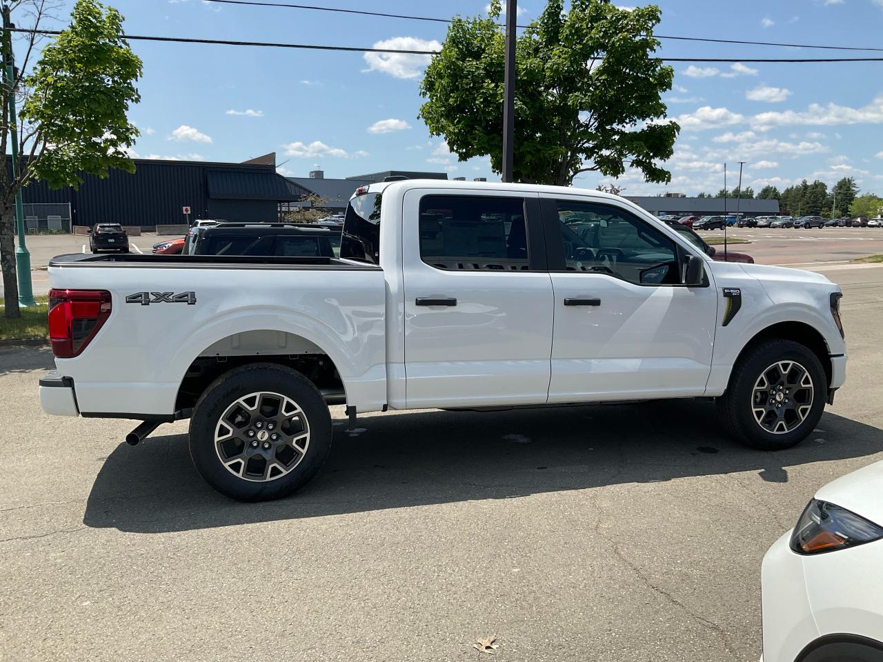 2025 Ford F-150 STX Photo5