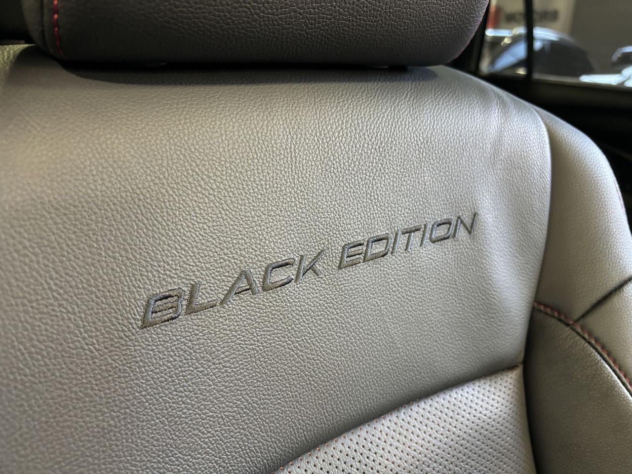 2022 Honda Pilot Black Edition|AWD|NAV|7PASS|REARSCREEN|LEATHER|+++ - Photo #20