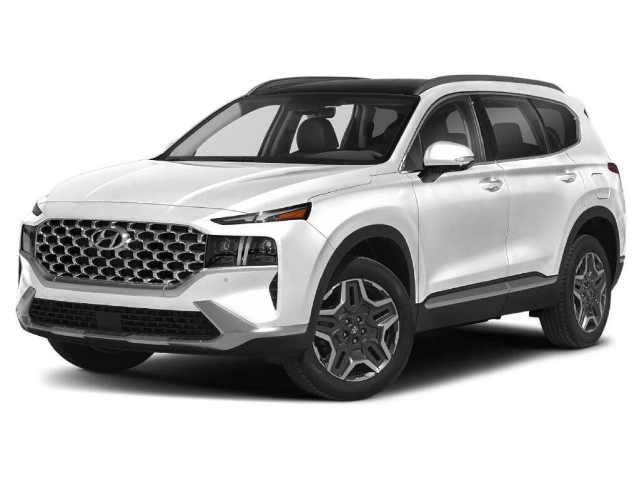 Used 2023 Hyundai Santa Fe Hybrid Luxury AWD for sale in Winnipeg, MB