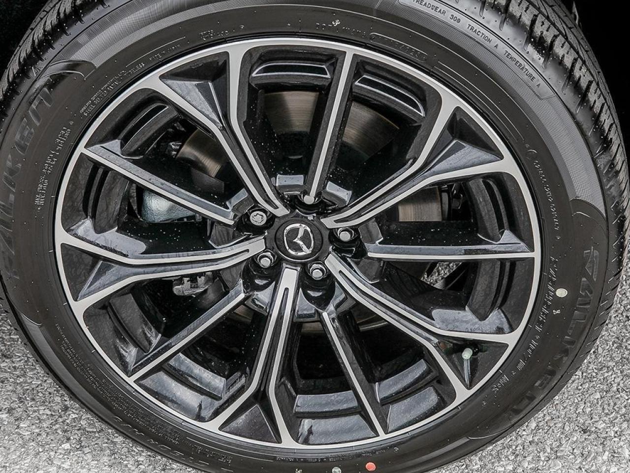 2025 Mazda CX-70 MHEV Signature AWD Photo