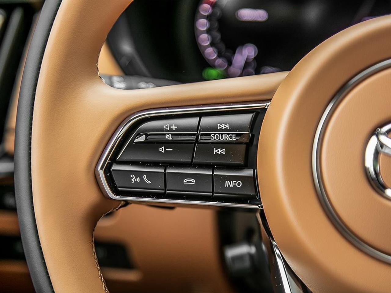 2025 Mazda CX-70 MHEV Signature AWD Photo