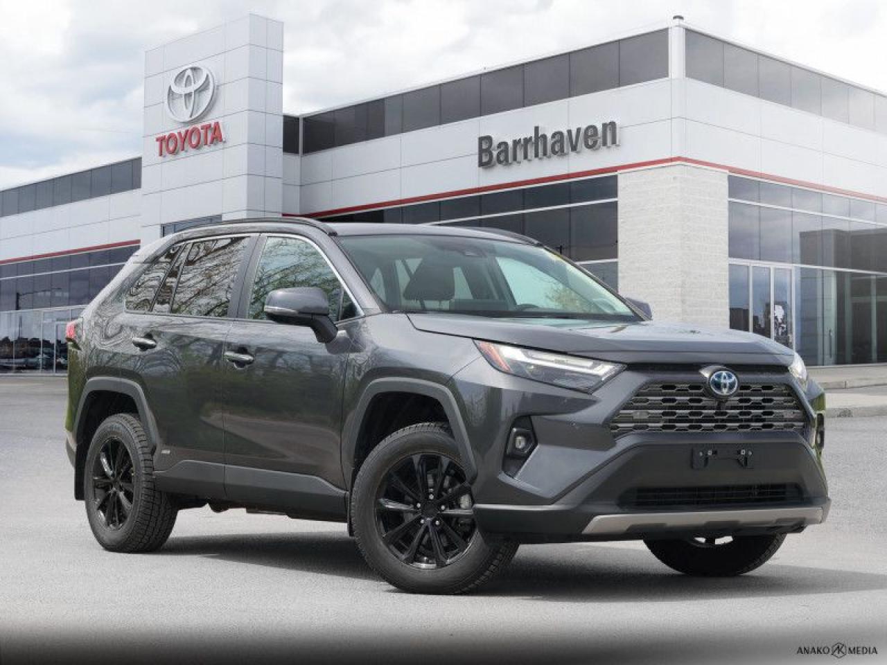 Used 2023 Toyota RAV4 Hybrid Limited  - Leather Seats - $341 B/W for sale in Ottawa, ON