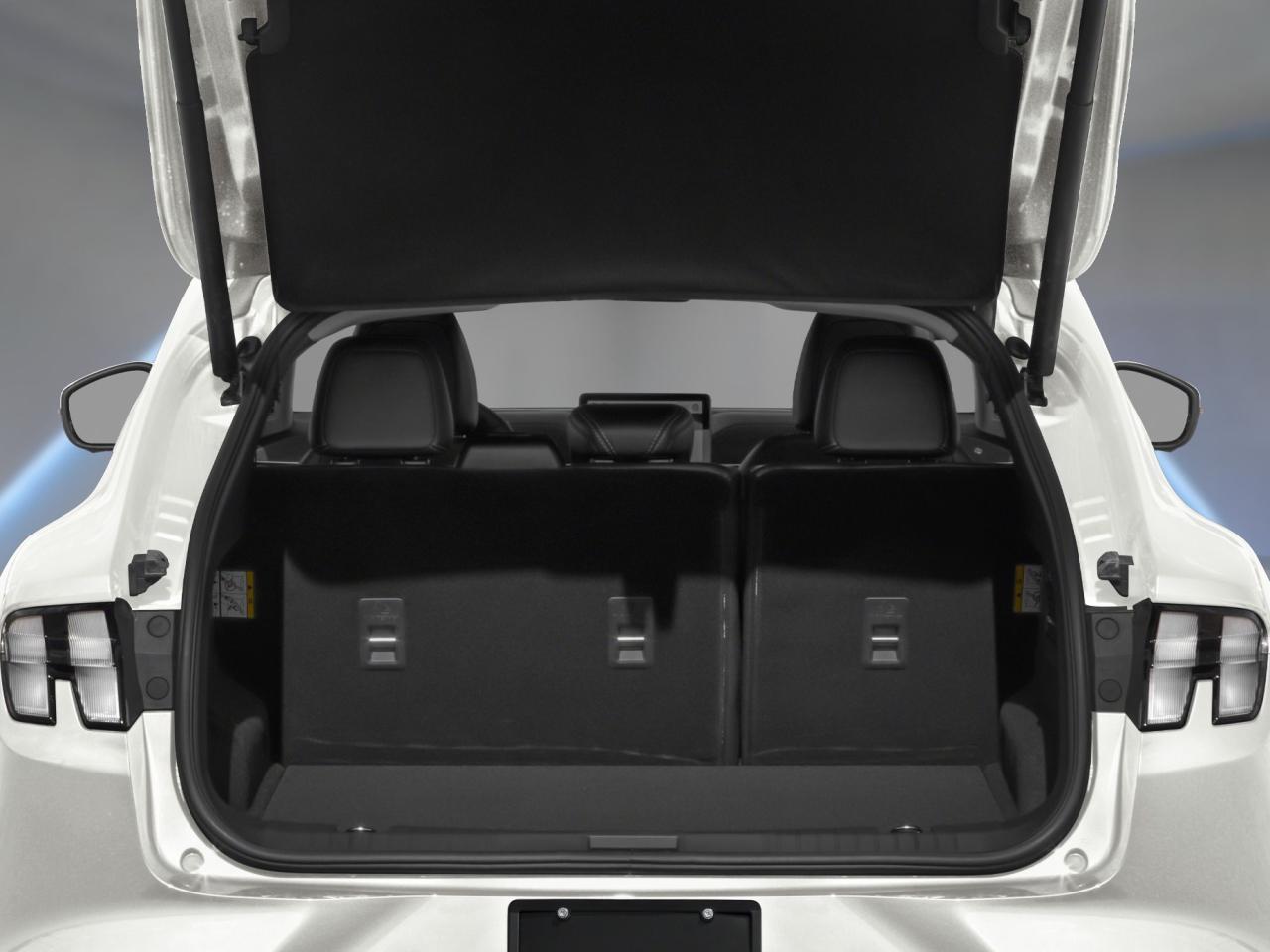 2025 Ford Mustang Mach-E Premium Photo