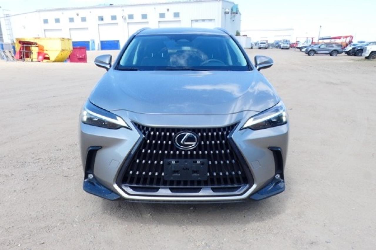 2022 Lexus NX NX 250 AWD w/Htd Leather, Nav ready, BUC - Photo #3