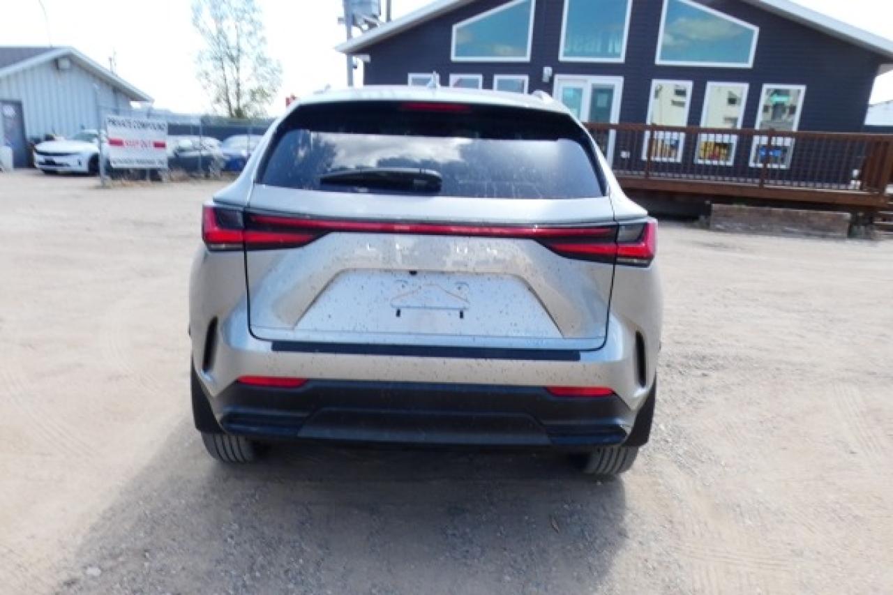 2022 Lexus NX NX 250 AWD w/Htd Leather, Nav ready, BUC - Photo #7