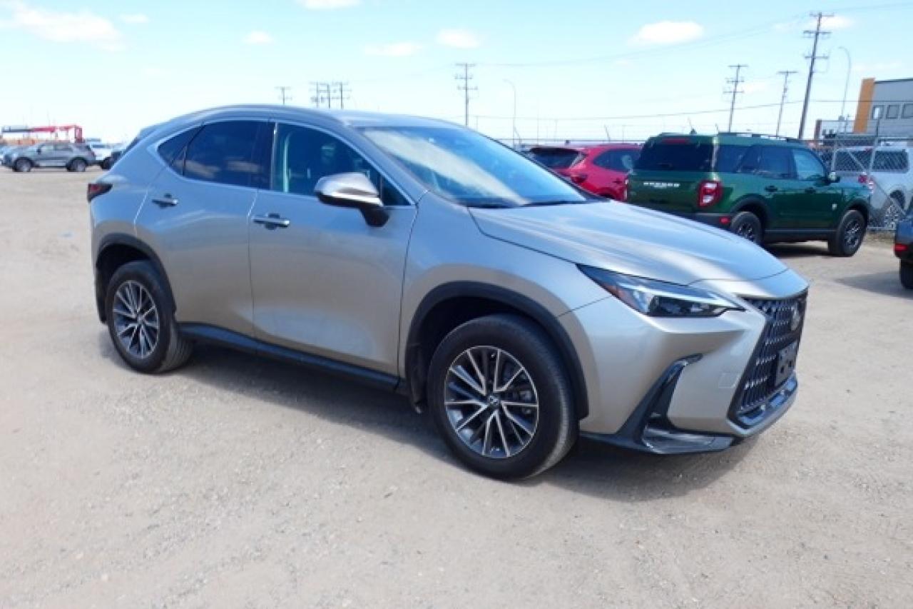 2022 Lexus NX NX 250 AWD w/Htd Leather, Nav ready, BUC - Photo #4