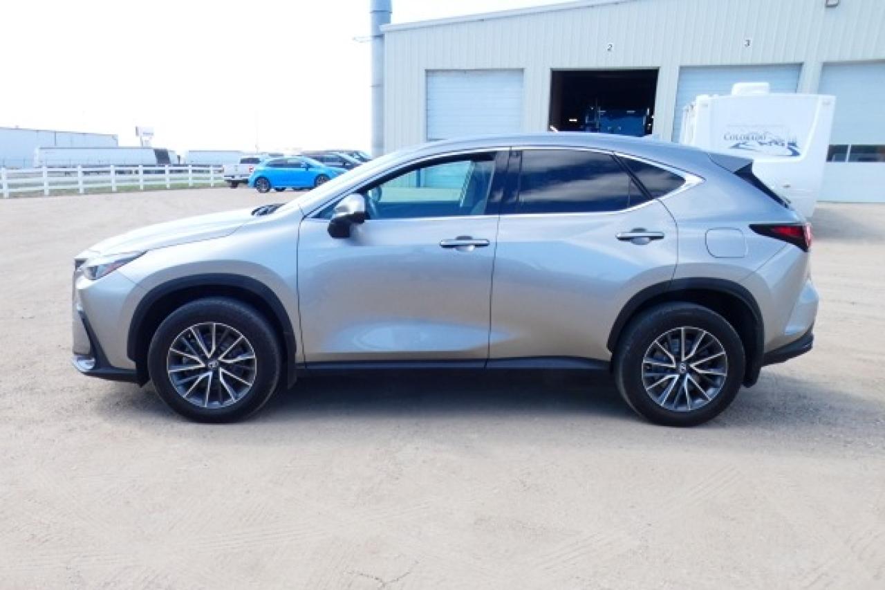 2022 Lexus NX NX 250 AWD w/Htd Leather, Nav ready, BUC - Photo #1