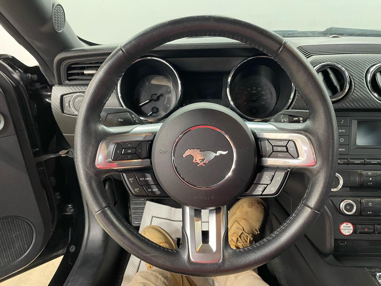 2016 Ford Mustang V6 Photo13