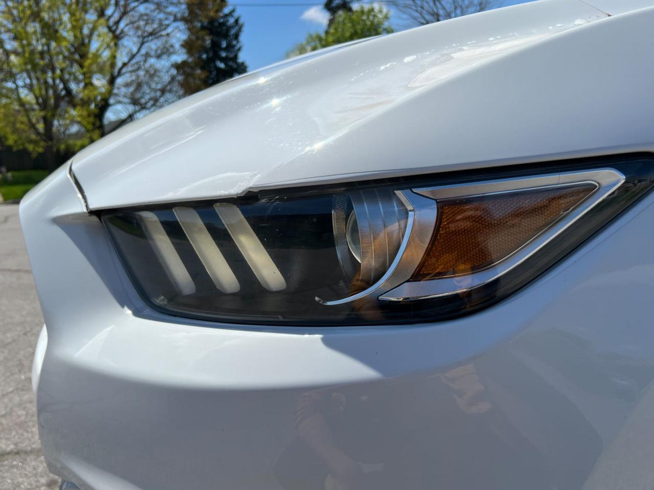2017 Ford Mustang EcoBoost Premium Convertible - Photo #22