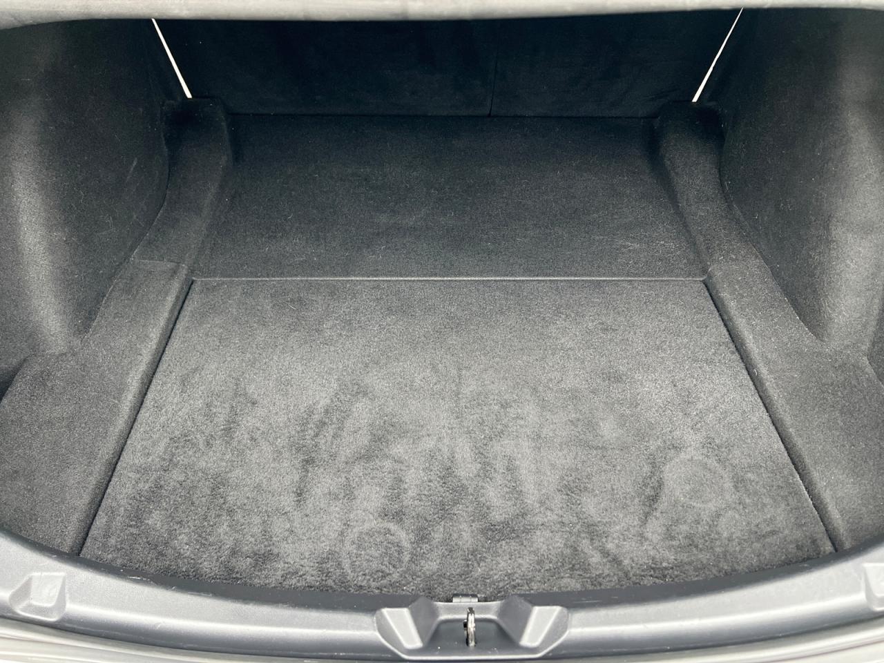 2020 Tesla Model 3 Standard Range Plus RWD Photo3